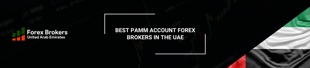 7 Best PAMM Account Forex Brokers in the UAE